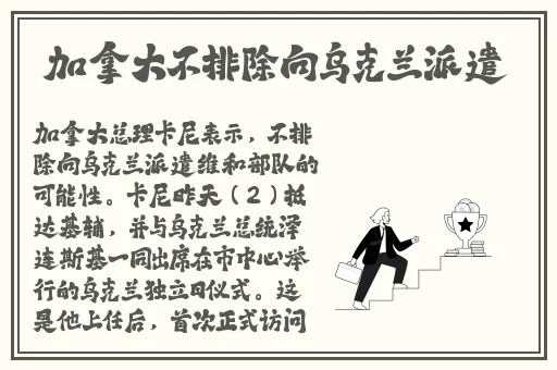 91精品久久久久久